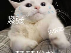 -武汉第一口腔医院(建设大道总院)