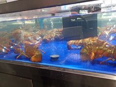 水产区-盒马鲜生(新都心店)
