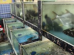 -众味海鲜大排档·活海鲜·潮汕味(南澳店)