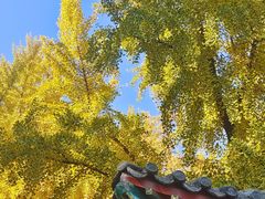 -宣武艺园