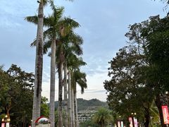 -上海圣淘沙万怡酒店