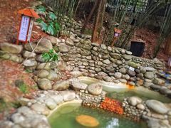 -三江森林温泉度假区