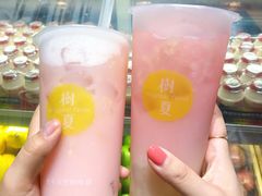-树夏(建设路店)