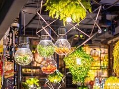 -胡桃里音乐酒馆(东区店)