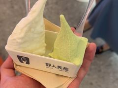-野人先生现做冰淇淋(北京王府井东方新天地店)