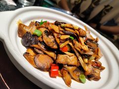 -哈啾嗨·蒙文化主题餐厅(京汉新城店)