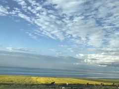 -青海湖国家重点风景名胜区