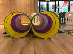 -黄浦乐烁龙鱼宝贝托育园(海潮路校区)