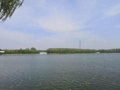 -大兴滨河森林公园