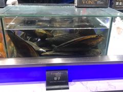 -V-ONE西雅图海鲜自助餐厅(仓山万达广场店)