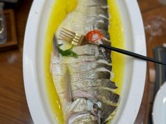 -鲁宴·鲁煨黄河生态大鲤鱼(月坛店)