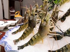 -海通1号(梅峰店)