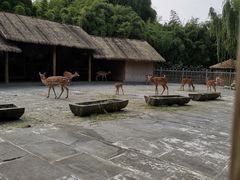 -金沙遗址博物馆