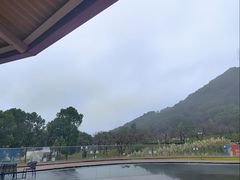 -如意山房柿子树下餐厅