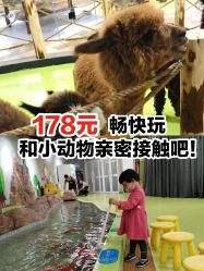 -七巧国萌宠乐园(龙湖天街店)