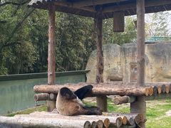 -上海野生动物园