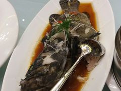 -青岛蓝海大饭店·渔歌舫(李沧店)