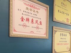 -新概念来凤鱼(璧山店)