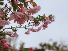 -江湾公园