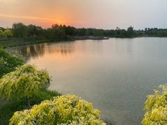 -东郊湿地公园