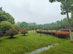 -滨湖塘西河公园