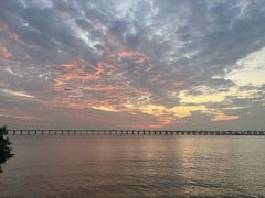 -宝安西湾红树林湿地公园