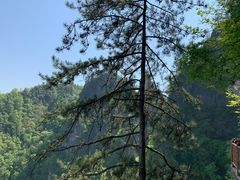 -塔云山