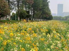 -艾溪湖湿地公园