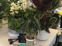 -茶马花街(城西银泰城店)