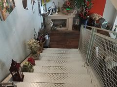 -Kitchen·Y洋厨房西餐厅(王府壹号店)