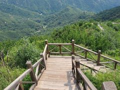-大岭沟猕猴桃谷风景区