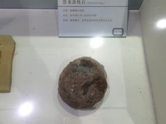 -中国第四纪冰川遗迹陈列馆