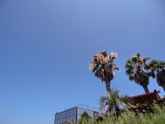 -Cafe Aewol Monsant