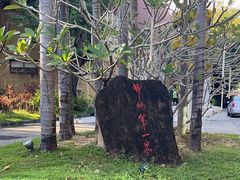 -三亚海棠湾南田温泉神龙谷