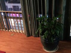 -网鱼电竞(上海青浦朱家角店)