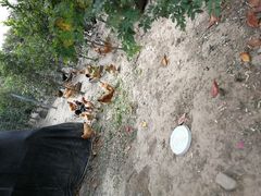 -呼吸森林·生态农庄农家乐私房菜