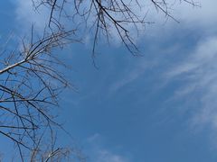 -汉长安城未央宫国家考古遗址公园