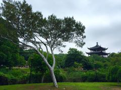 -白马涧龙池景区