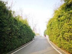 -洋湖国家湿地公园