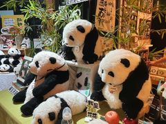 -轩客会(熊猫书店)