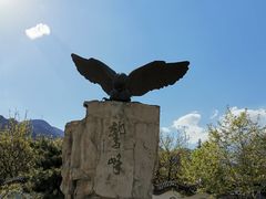 -北京鹫峰国家森林公园