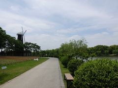 -上海鲜花港