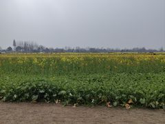 -中国天府农业博览园