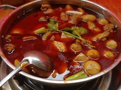 -佘记全家福芋儿鸡(向阳街总店)