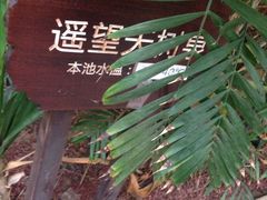 -龙达温泉生态城