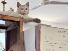 -知物癖(牛王庙店)