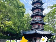 -上海佘山国家森林公园西佘山园