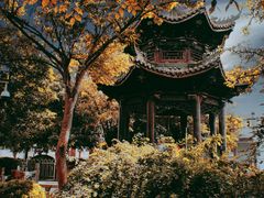 -江湾公园