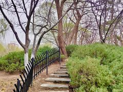 -元大都城垣遗址公园