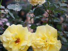 -人民公园(罗湖区)